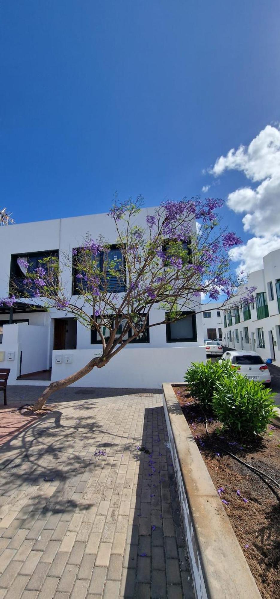 Apartamento Margarita Playa Blanca Dış mekan fotoğraf