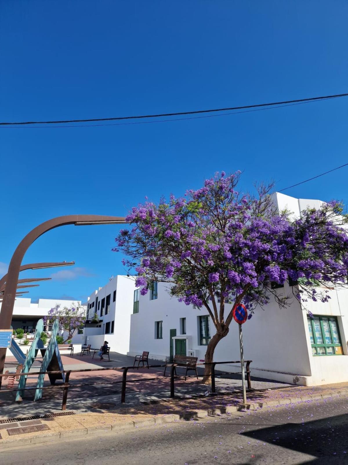 Apartamento Margarita Playa Blanca Dış mekan fotoğraf