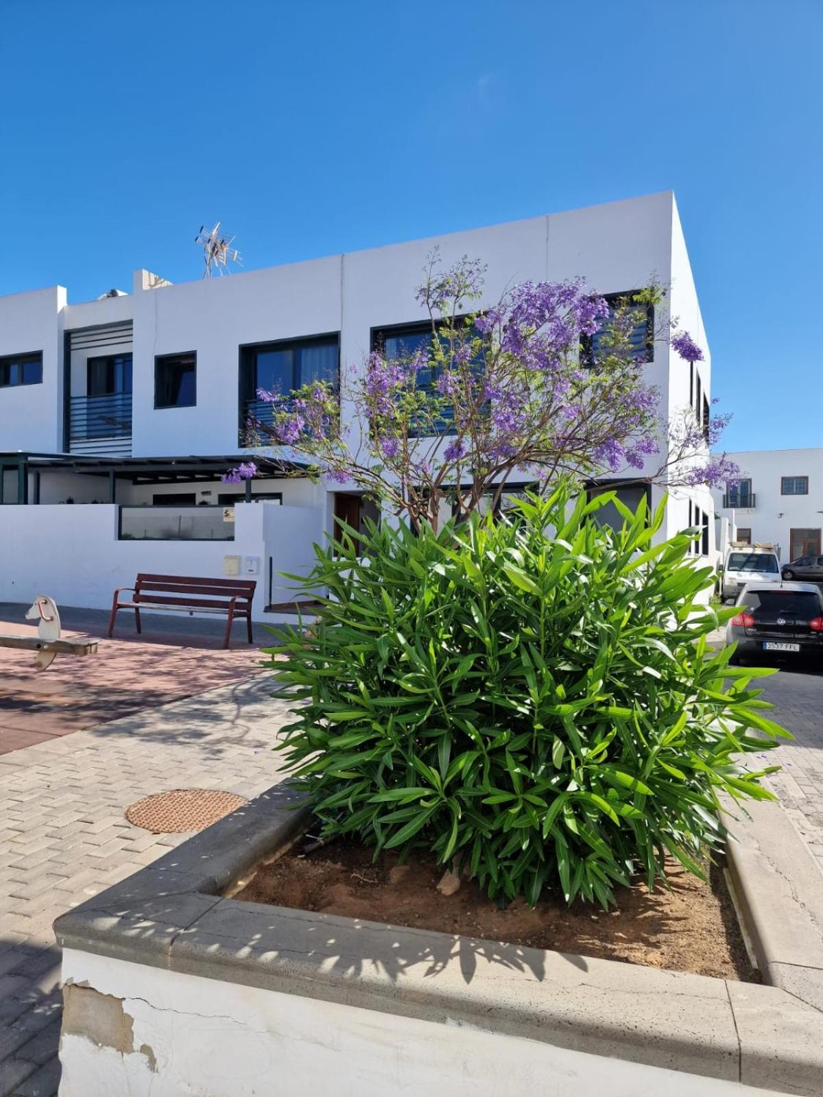 Apartamento Margarita Playa Blanca Dış mekan fotoğraf